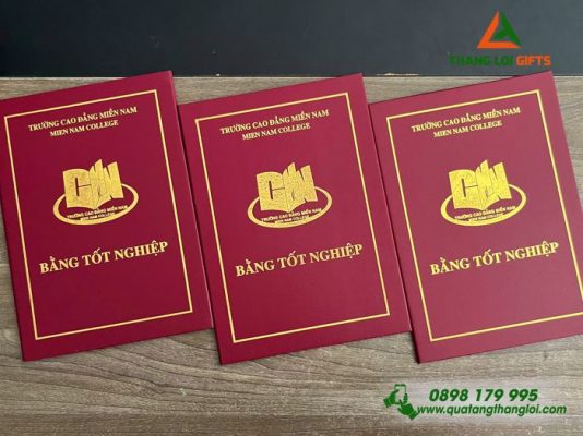 Bia Dung Bang Tot Nghiep Mau Do - Ep Kim Logo Truong Cao Dang Mien Nam