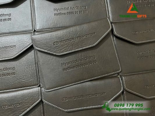 Vi Da Mau Nau - Dap Chim Logo Hyundai An Giang